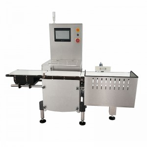 One of Hottest for Best Professional Sheet Metal Fabrication Manufacturer - Fanchi-tech Dynamic Checkweigher FA-CW Series – Fanchi-tech