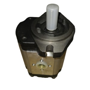 Wholesale Price China Pump Gear Hydraulic - Gear pump CBT-F4 – Fitexcasting