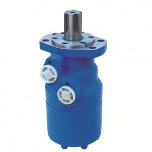 Chinese wholesale Oms Hydraulic Motor - China Manufacturer of High Speed Hydraulic Motor BM9 Series – Fitexcasting