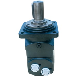 Hot Sale for Low Speed High Torque Hydraulic Motor - BM8 motor – Fitexcasting