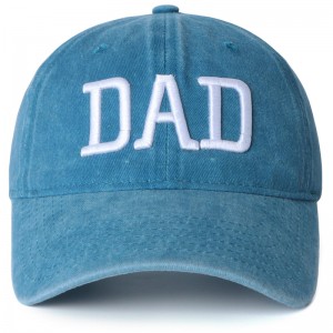 2 pălărie de tată