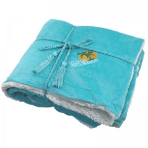 Reversible Thick Blanket Extra Soft Warm & Cozy Microfiber Blanket
