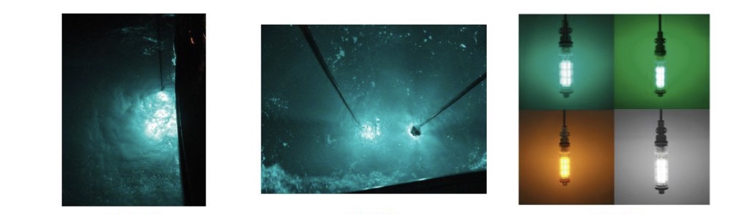 PHILOONG underwater LED fishing light latest development information