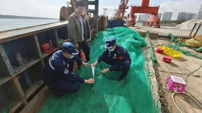 35.000 KG!Trenta-tres persones!L'Oficina de la Guàrdia Costera de Haikou va confiscar 4 vaixells de pesca sospitosos d'operacions il·legals