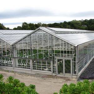 tabarau greenhouse
