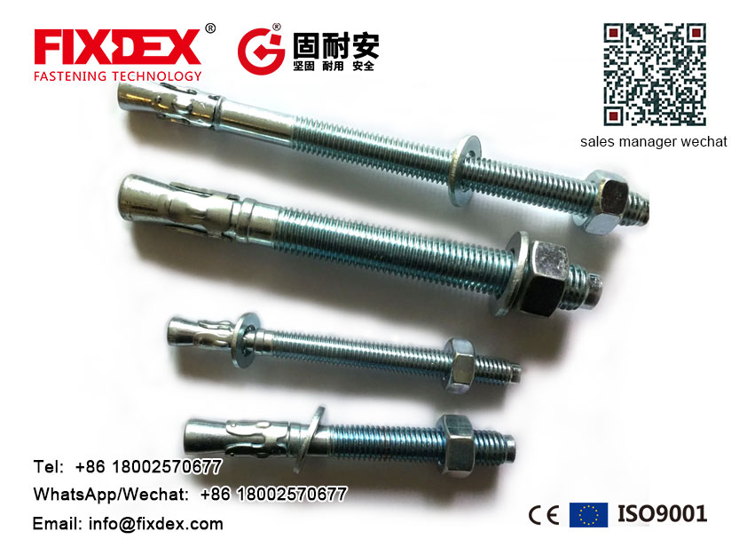 Anchor Bolt Wedge Anchor with High Quality