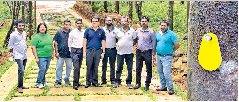 Sri Lankan forestry company uses RFID technology to track tree health