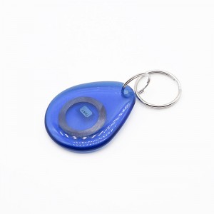 Rapid Delivery for Door Access Control Customized ABS 125kHz Lf RFID Key Fob