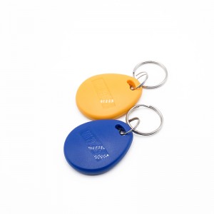Excellent quality Low Frequency Keyfob / Lf RFID Tags / ABS Keychain for Access Control