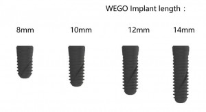 WEGO implantatsystem–implantat