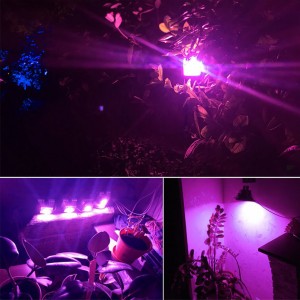 New Delivery for China Full Spectrum 300W 100W 1200W LED Plant Grow Light for Greenhouse Indoor Plants Seed Veg Bloom 300W LED Grow Light