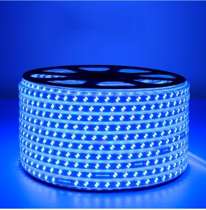 Flexible LED Strip Light AC220V SMD5730 120ledsm Waterproof IP67 Led Tape LED Light With EU Power Plug 1M2M3M8M10M12M20M