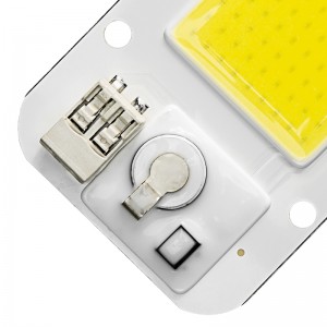 Floodlight Led Bulb 110V 220V 30W 50W LED COB Chip No Need Driver Smart IC LED Beads Diy Spotlight Floodlight Lampada