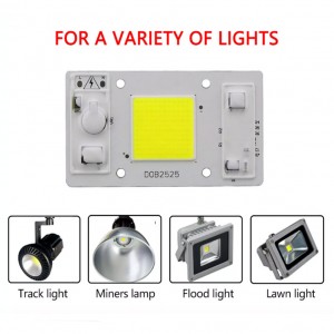 Floodlight Led Bulb 110V 220V 30W 50W LED COB Chip No Need Driver Smart IC LED Beads Diy Spotlight Floodlight Lampada