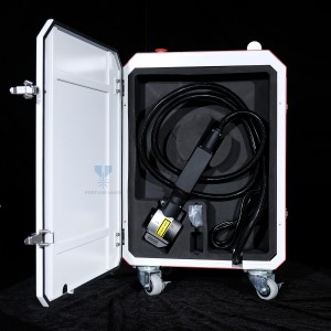 Fortune Laser pulse Laser cleaning Machine