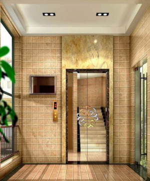 Kina Factory Villa Brugt Home Mini Lift, Factory Direkte Lille Elevator Til 2 Person