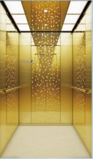 중국에서 판매되는 Fuji 엘리베이터 저소음 450kg 승객용 엘리베이터
