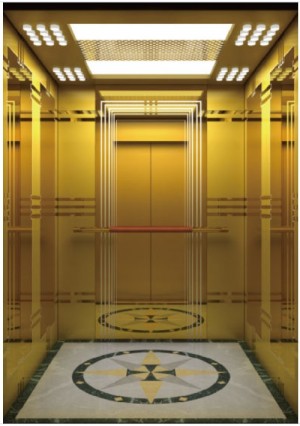 Fuji elevator low noise 450kg passenger elevator for sale from China
