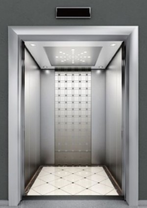 Preismodernisierung des billigen Home-Lift-Aufzugs für Wohngebäude in Shanghai Fuji