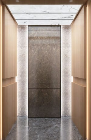 Special Price for Small Elevator For Food - Passenger Elevators-FJ-JXA18 – Fuji