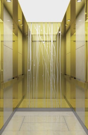 2017 New Style Small Outdoor Home Elevator - Passenger Elevators-FJ-JXA23 – Fuji