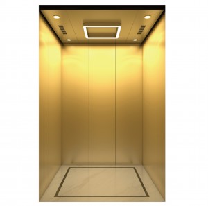 FUJI China Factory Gearless Vvvf Control Passenger Elevator Villa Home Use Elevator Panoramic Elevator සඳහා අඩු මිල
