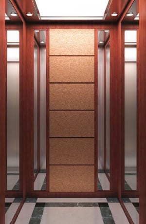 Hot New Products Elevator Guide Rail T89 - Home Elevators-HD-BT04 – Fuji