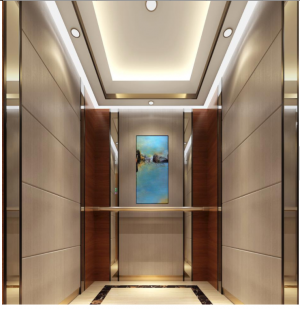 FUJI New Design Fashion Small Home Lift Villa Elevator for Sale
