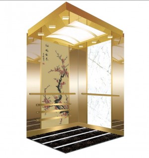 Stainless Steel Mirror Home Panoramic Villa Sikehûs Observaasje Passenger Elevator te keap yn Best Priis