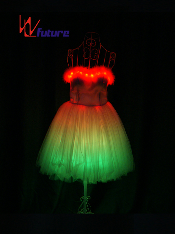 China Professional Customized LED Light up Dress Costume WL-0169 Featured Image