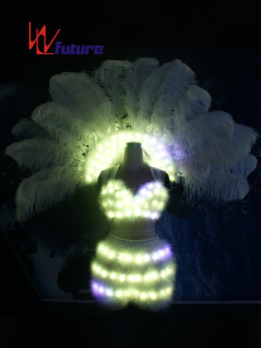 Custom Sexy LED Light Bra & Pants & Ostrich Feathers For Dance Show WL-0187