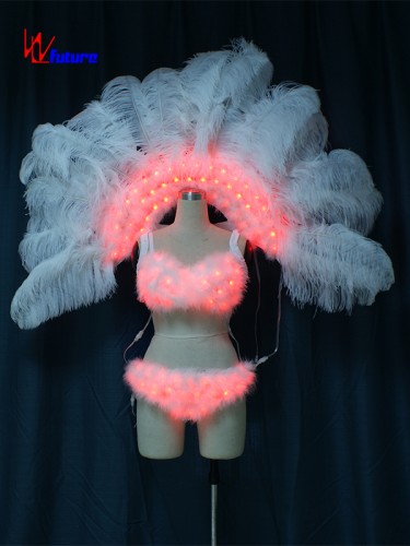 Sexy LED Light Up Bra & Pants & Feathers Dance Performance Wear WL-0187A