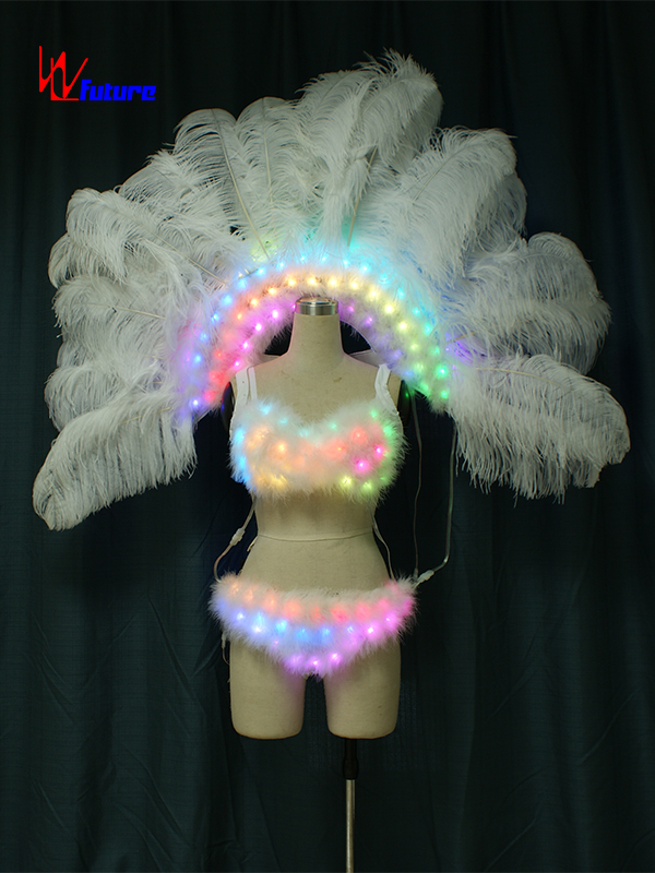 Sexy LED Light Up Bra & Pants & Feathers Dance Performance Wear WL-0187A Featured Image