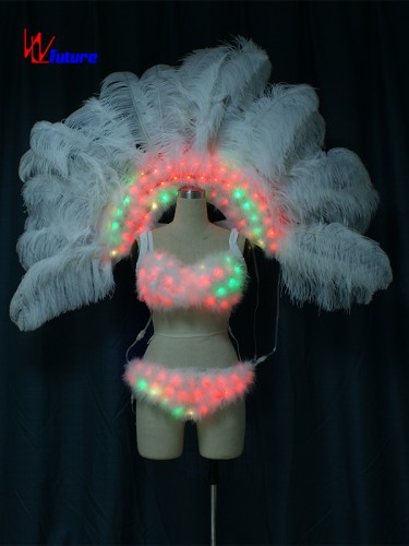 Sexy LED Light Up Bra & Pants & Feathers Dance Performance Wear WL-0187A