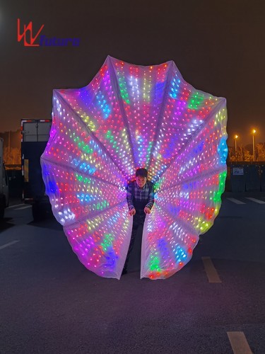 Chinese Professional China LED Peacock Tailsfan Costume for Adult Wearable Custom LED Light Show
