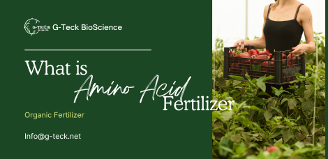What is Amino Acid Fertilizer?