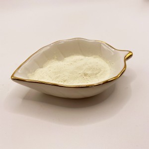 Asid amino Baja zink Chelate (AminoZn)