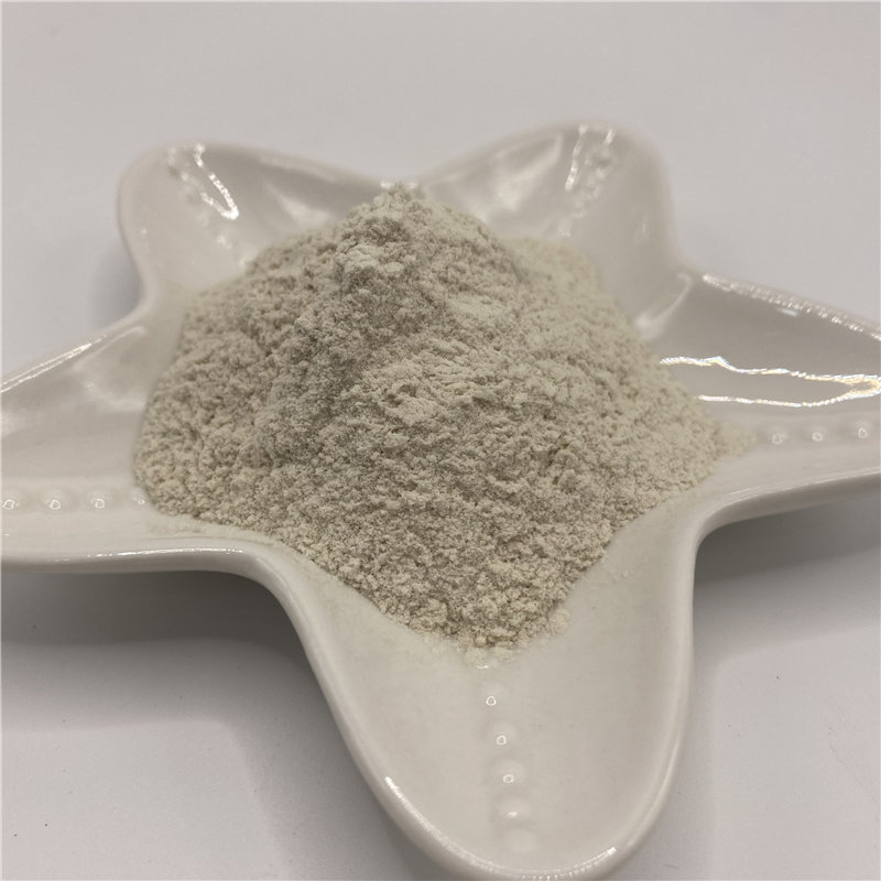 Chitosan Polymer (5)