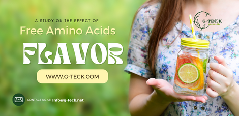 Un estudio sobre el efecto de los aminoácidos libres en el sabor de las plantas