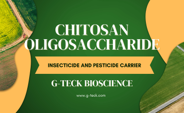 Chitosan Oligosaccharide used as Insecticide and Pesticide Carrier
