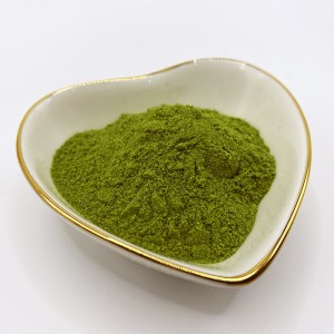 Seaweed Extract – Seaweed Extract Powder Para sa Mga Halaman