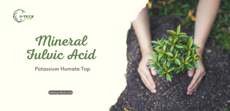 Mineral Fulvic Humic’s Chelating Ability