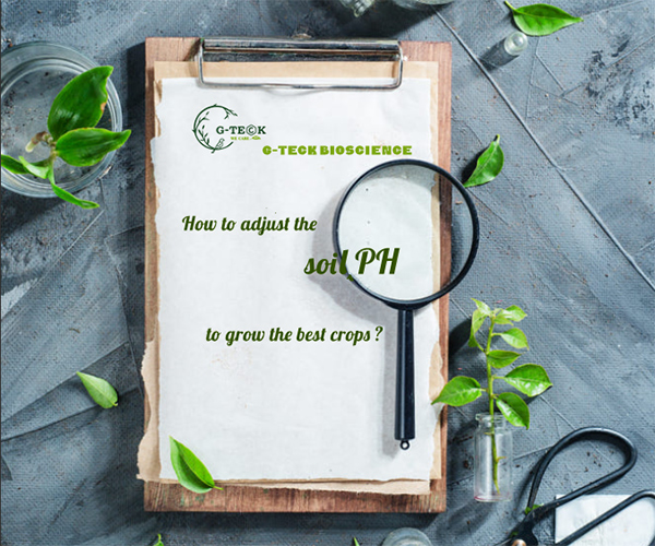 PH 값 조정 – 유기 토양 pH 조정