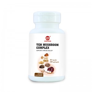 Best-Selling Ganoderma Extract Powder - Best Selling Maitake Mushroom Extract, Grifola Frondosa Extract, Mushroom Polysaccharides Extract, Medical Mushroom Extract – GanoHerb