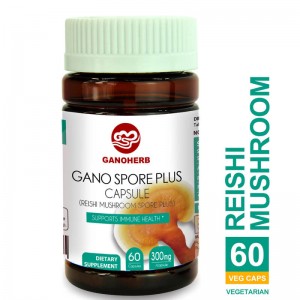 100% Original Factory Reishi Organic - Ganoderma Spore Powder Capsule – GanoHerb