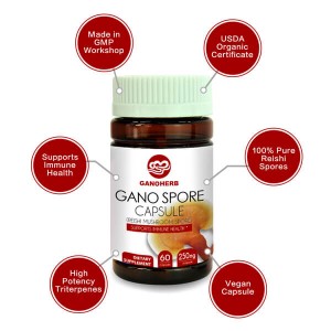 100% Natural Health Food Nutritional Reishi Shell-Broken Spore Powder Capsule para sa Pagpapahusay ng Immunity