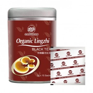 Manufacturer Private Label Organic Black Tea Reishi Extract Free Sample Tea Dinks