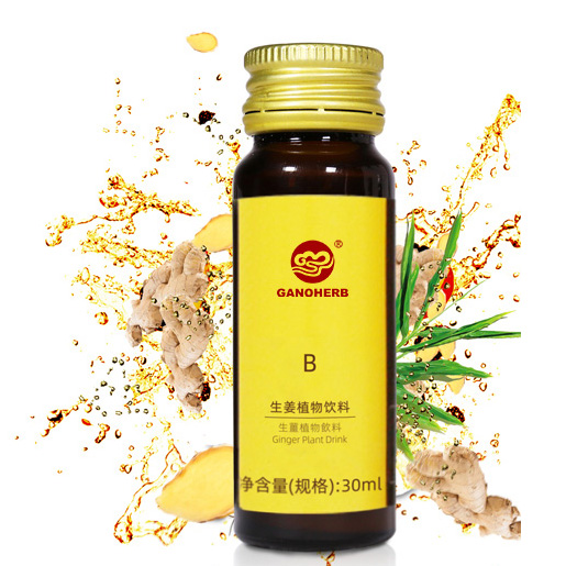 Chinese wholesale Where To Buy Reishi Mushroom Tea - Ginger Oral Liquid Drink – GanoHerb