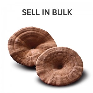 Reasonable price Mushroom - Whole Part Dried Ganoderma Lucidum Mushroom – GanoHerb