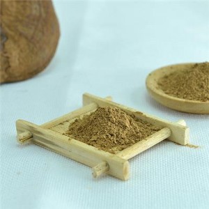 China Cheap price Private Label Tea - Organic Ganoderma lucidum powder – GanoHerb